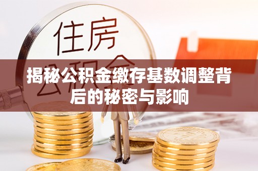 邛崃揭秘公积金缴存基数调整背后的秘密与影响