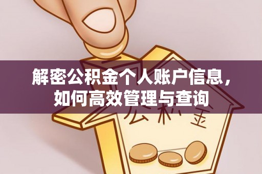 邛崃解密公积金个人账户信息，如何高效管理与查询