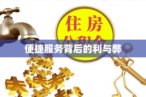 邛崃便捷服务背后的利与弊